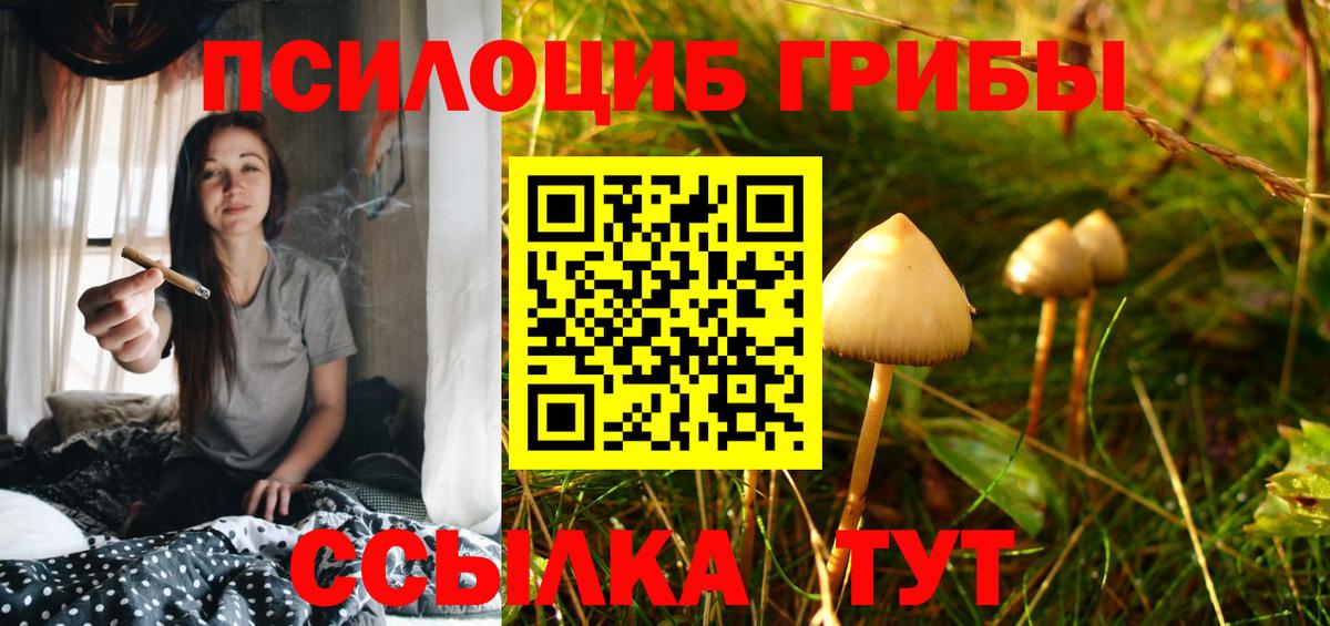 Галлюциногенные грибы GOLDEN TEACHER  Вход с VPN  Мирный  Псилоцибиновые грибы Psilocybine cubensis 